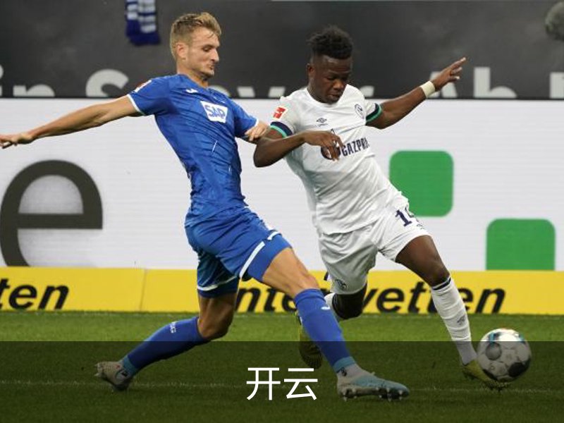 开云简介