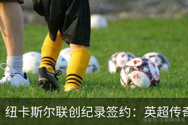 纽卡斯尔联创纪录签约：英超传奇、289球射手与本地英雄齐聚